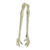 Claw Style Ice Tong Stainless Steel Hand Polished Eagle Claw
