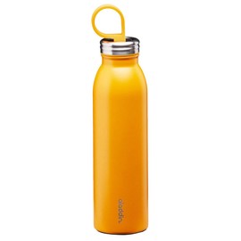 Aladdin Botella de agua de acero inoxidable Coolled Thermavac de 0,55 l, color amarillo sol, botella de agua de metal aislada, mantiene el frío durante 9 horas, termo sin BPA, a prueba de fugas, apta para lavaplatos