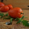 Amish Paste Heirloom Tomato - 50 Seeds