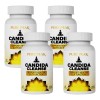 4pc Pure Peak Candida Cleanse Ayuda Al Intestino Y Al