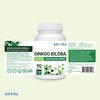 Ginkgo Biloba 6000 mg – 90 vegane Tabletten – Lutein-freier 50:1
