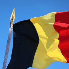 YARNOW Gold Flag Pole End Cap Topper Finial Flagpole Finial Replacement Flag Head Top Ornament for Indoor or Parade Flagpole 20cm