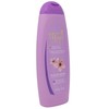 Maja Plum Blossom Body Lotion, Perfumed Body Lotion with Almond