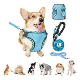 Zequech Blue Pet Leash, Breathable Mesh, Thickened Padded Vest with Aluminium Alloy Safety Buckle, Night Reflection, Small and Medium (XS, Chest 34~40 cm)