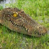 Floating Alligator Head Decoy for Pool Pond, Outdoor Fake Crocodile