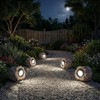 Candieslife LT-151S4 Luces Solares para Rocas de Jardín y Paisaje