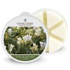 Goose Creek Wax Melt Pack Sweet Honeysuckle, Yellow, 8 x