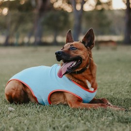 Huskimo Dog Coat Chill Blue 46cm – Soft Microfleece Dog Jacket with Subzero Temperature Control Fabric, Dual Zip & Velcro Adjustments, Machine Washable