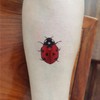 SanerLian Ladybug Temporary Tattoo Stickers Waterproof Insects Bee Cartoon Hand