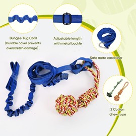 VibeVerve Outdoor Dog Bungee Tug Toy,Interactive Tether Tug of War Toy for Small to Large Breeds,Tree Tugger Rope with Spring Ropes Toys，Hanging from Tree Toy for Exercise Solo Play (Blue)