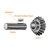 QUARKZMAN Pack of 10 Round End Spring Wedge 4 x
