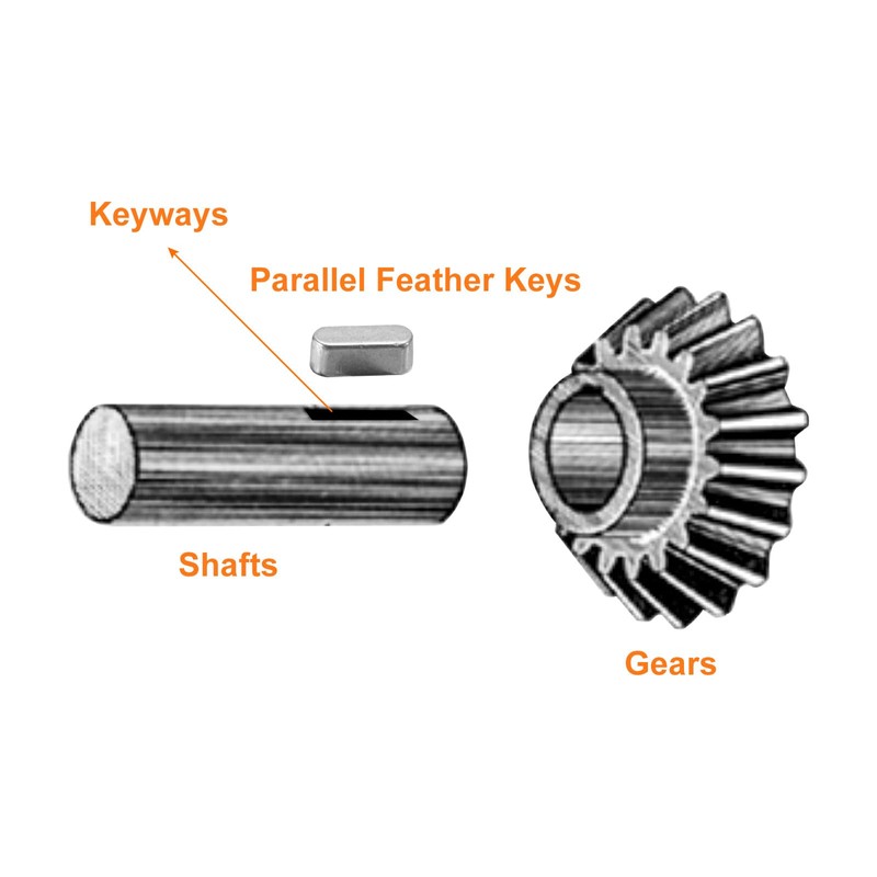 QUARKZMAN Pack of 10 Round End Spring Wedge 4 x