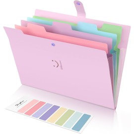 SKYDUE Fächermappe, Mappe Mit Fächern, Dokumentenmappe A4 Mit Etiketten, Ordnungsmappe Mappen Ordnersystem, Document Organizer Für Zuhause, Büro, Schule Und Auf Reisen(Fliederfarben)