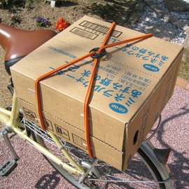 Yutaka Make BCR-409 Bungee Cord with Ring, Mixed Color, 0.3 x 15.7 inches (8 x 400 mm)