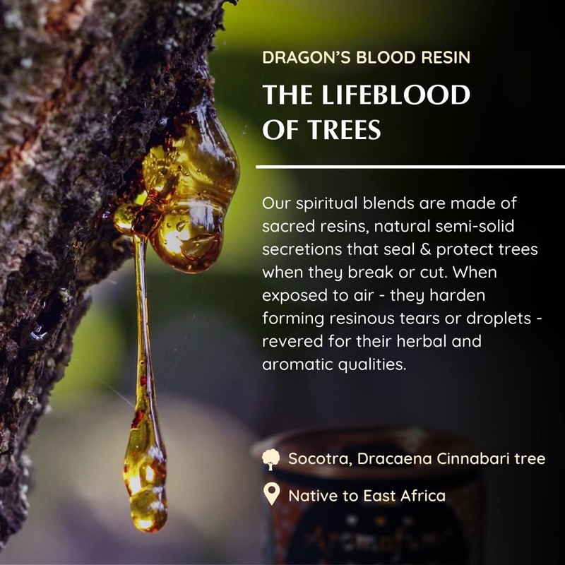 Aromafume Dragons Blood Incense Bricks (3 Trays x 9 Pieces