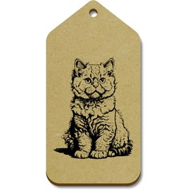 10 x Large 'Selkirk Rex Cat Sitting' Wooden Gift Tags (TG00127089)