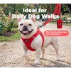 Best Pet Supplies Voyager Nylon Dog Leash - Red, Small