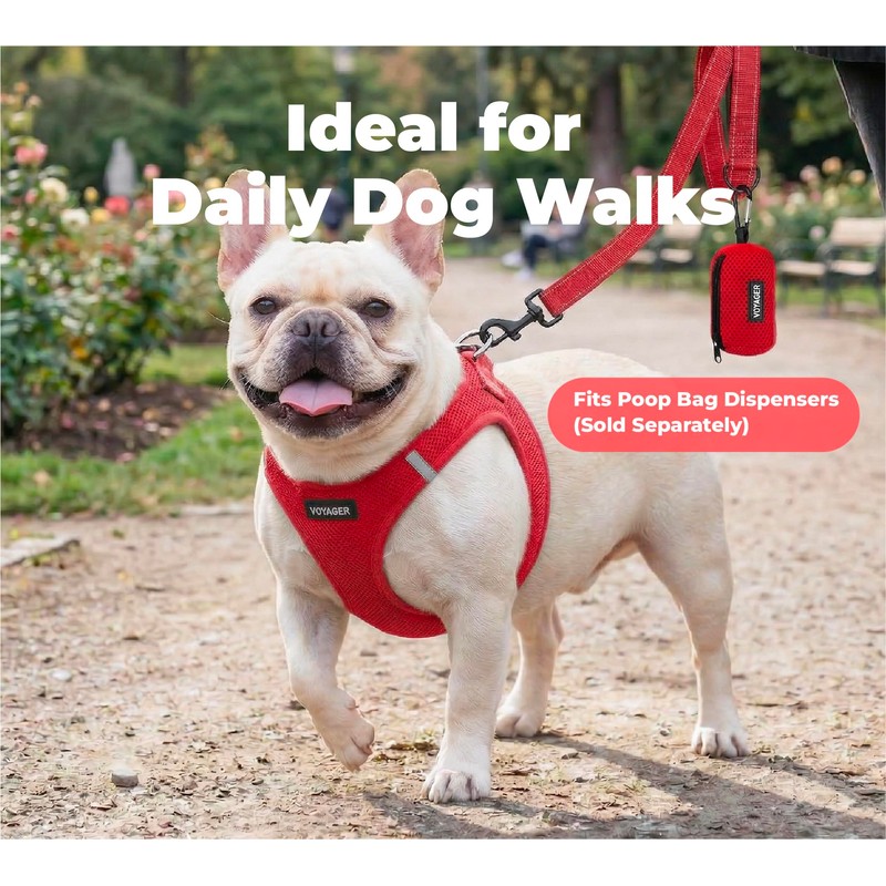 Best Pet Supplies Voyager Nylon Dog Leash - Red, Small