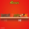 REESE'S STICKS Milk Chocolate Peanut Butter Wafer King Size, Candy