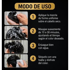 Shampoo Tinte Negro 3 en 1, Cubre Canas al Instante, con Jengibre, para Hombre y Mujer, 500 ml