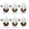 Teabloom Organic Black Forest Pyramid Tea Presentation Box, 12 Assorted