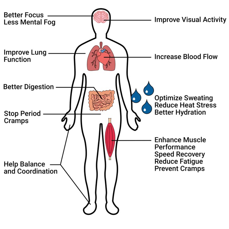 Krampade Electrolytes Powder Potassium Supplement - 2000 mg K+, >2X