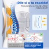 Fajas para Hombres y Mujeres, Innovador Dise?o de Soporte 2+2+1