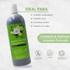 Shampoo Alquitran De Hulla Con Bergamota Productos Mart Mexico 1