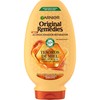 Garnier Hair Conditioner (with Ice Treasures) – 250 ml