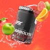 EFX Sports Karbolyn Fuel | Fast-Absorbing Carbohydrate Powder | Carb
