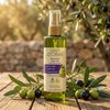 Dalan D Olive Reparative Body Oil 200ml 4070721 / 달란 디 올리브 리페러티브 바디오일 200ml 4070721