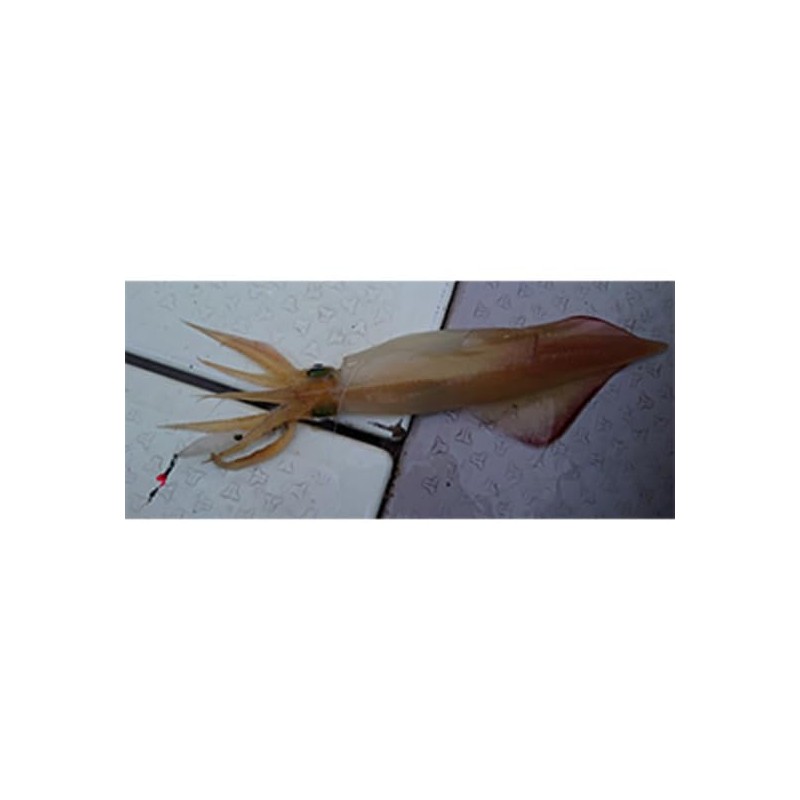 Daiwa Ika Metal / Egi Emeraldas Ika Metal Dropper Type