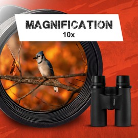Firefield 10x42 Binoculars