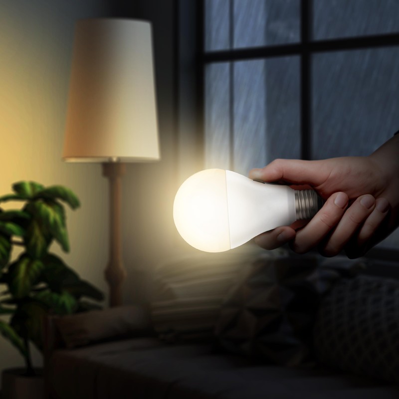 Feit Electric LED Built-in Battery Backup Intellibulb - A21 with
