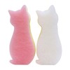 Wise Asso caraful Antibacterial Soft Kitchen Sponge 2-Pack Cat As – 004 