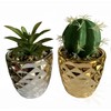 Leaf Set of Two Ceramic Planters with Artificial Succulent Plants,
