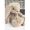 Histoire d 'Ours Plush Friends Cuddly Toy Rabbit Rabbit 40