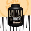 Animal Animal Whey Isolate Protein Powder - Loaded for Pre