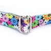 haoyueer Martingale Dog Collar Durable Nylon Adjustable Walking Training Collar