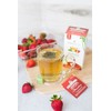 Miracle Tree - Organic Moringa Superfood Tea, 25 Individually Sealed