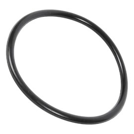 59000600 Manifold/Outlet Pipe O-Ring for American Products/Pentair Titan, Olympian, FNS Pool Filters, O-24
