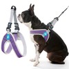 Gooby Simple Step in III Harness - Purple, Small -