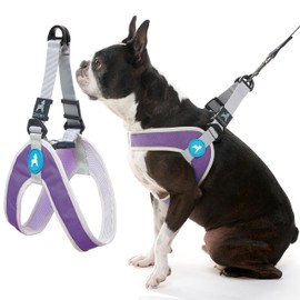 Gooby Simple Step in III Harness - Purple, Small - Small Dog Harness with Scratch Resistant Outer Vest - Soft Inner Mesh Harness for Small, Medium Dogs