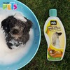 Fancypets FL3767 Champú Cachorro, 250 ml