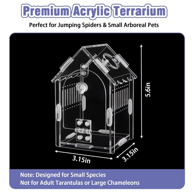 Jumping Spider Enclosure Kit Acrylic Terrarium for Tarantulas, Reptiles &