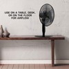 Hurricane Oscillating Pedestal Stand Fan, 12-Speed Cooling Unit, 16", Black