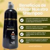 1 Champú para Teñir El Cabello 3 en 1 |