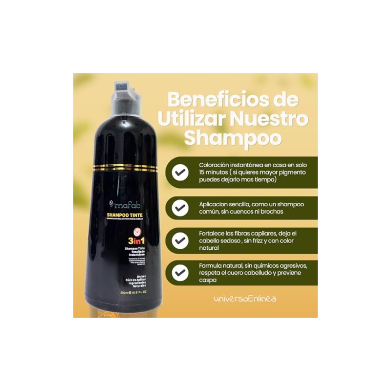 1 Champú para Teñir El Cabello 3 en 1 |