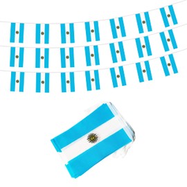 50 Ft Argentina Banner Flag String, 38 Pcs Argentine Small Mini Flags, 4th of July Independence Day, Patriotic Events, Sports, Bars Decorations, Decorations Supplies (Argentina)