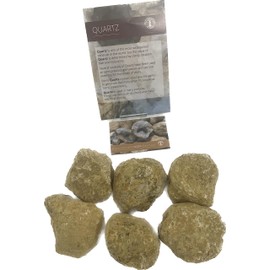 Shropshire Crystals Break Your Own Geodes - Perfect for Science Discovery & Learning (6-8cm)